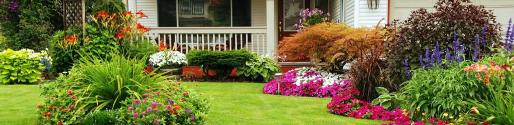 Landscaping Services